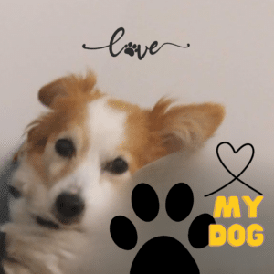 Text reads Love. My Dog. There's a heart shape. And a big dog paw on the picture.